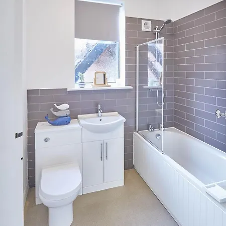 Host & - The Lookout *