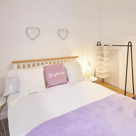 Host & - The Lookout *