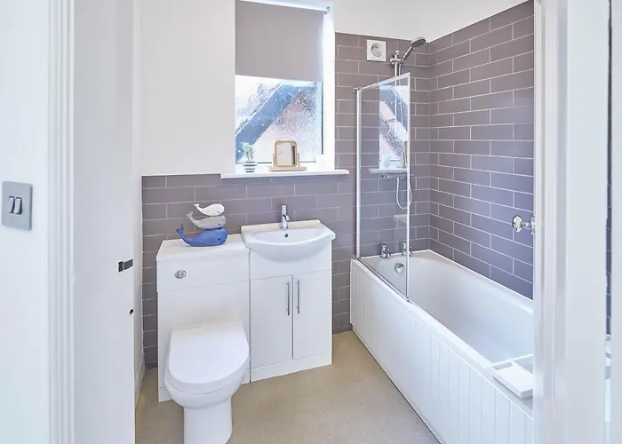 Host & - The Lookout *